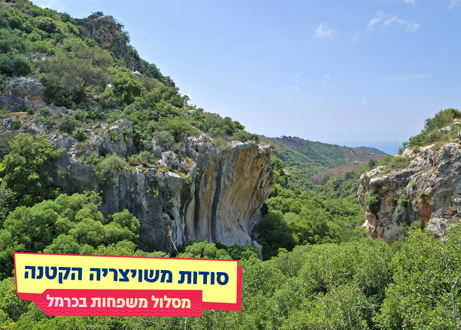 8.08.25 | סודות משויצריה הקטנה – מסלול משפחות בכרמל