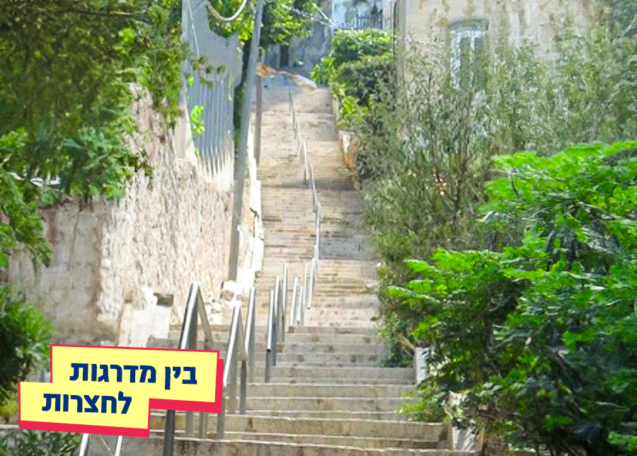 8.08.25 | בין מדרגות לחצרות