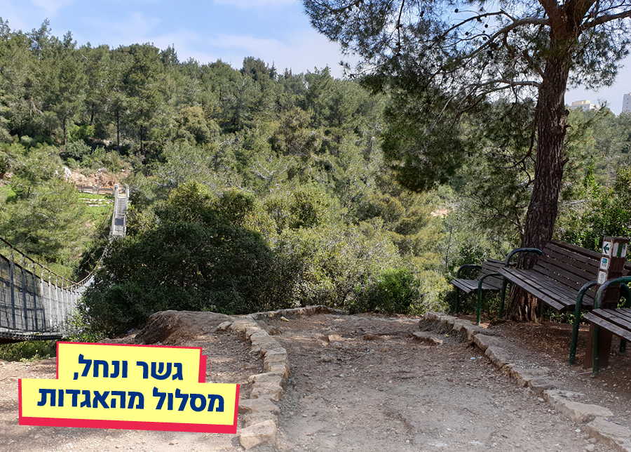 12.08.25 | גשר ונחל, מסלול מהאגדות