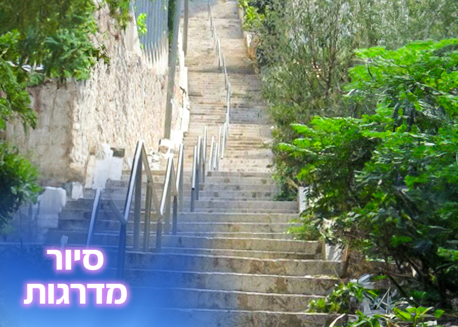 10.10.25 | סיור מדרגות בחיפה